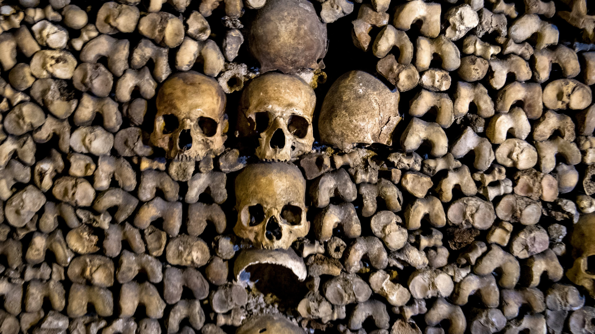Darkness Lurks in the Paris Catacombs